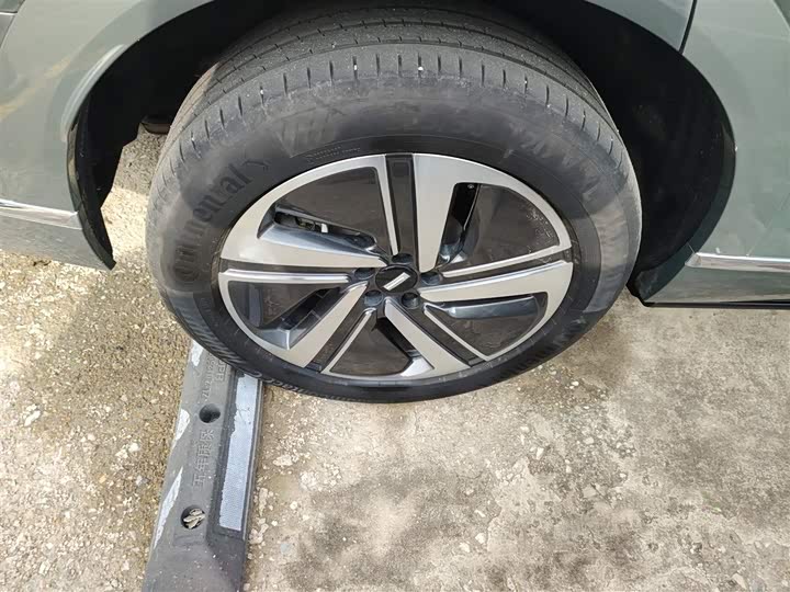 Фото 26 - Wey Lanshan