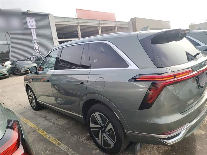 Фото 5 - Wey Lanshan