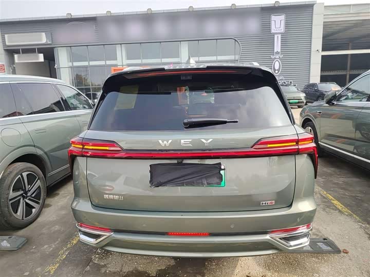 Фото 6 - Wey Lanshan