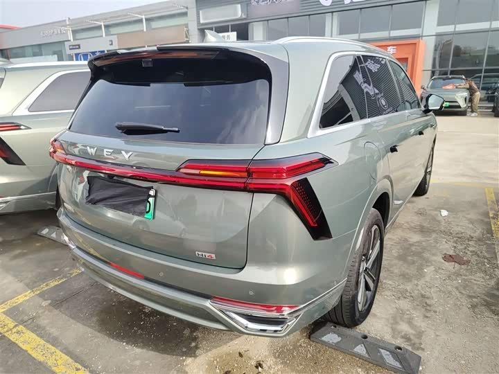 Фото 7 - Wey Lanshan