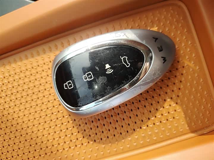 Фото 9 - Wey Lanshan