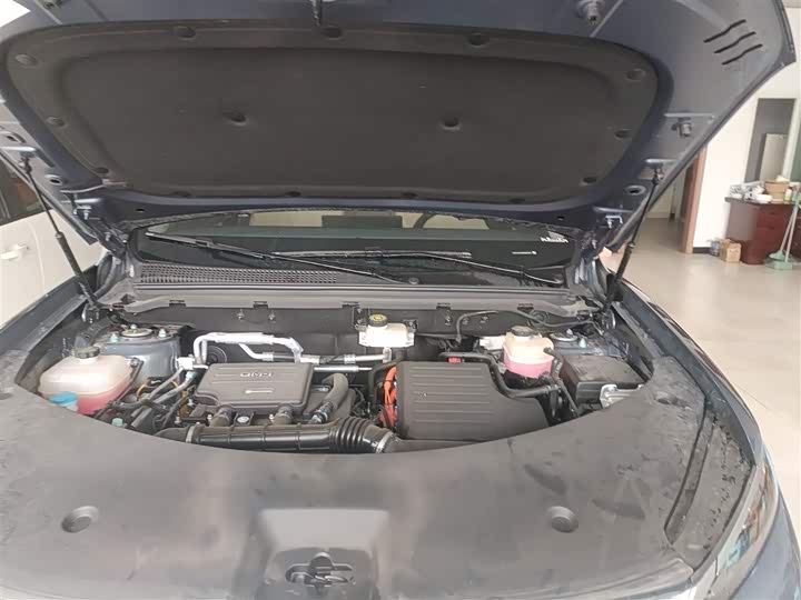 Фото 20 - BYD Song Pro Hybrid