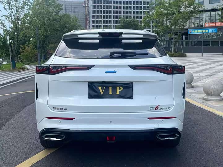 Фото 10 - Changan Oshan Z6