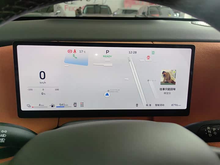 Фото 12 - Wey Lanshan