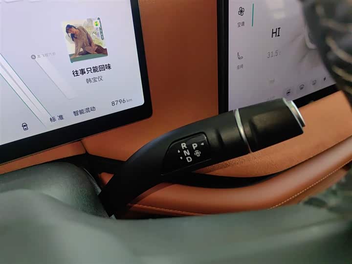 Фото 14 - Wey Lanshan