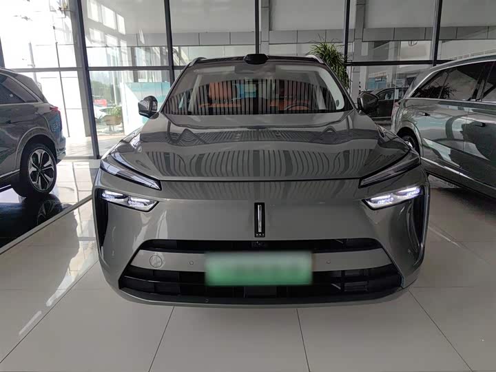 Фото 3 - Wey Lanshan