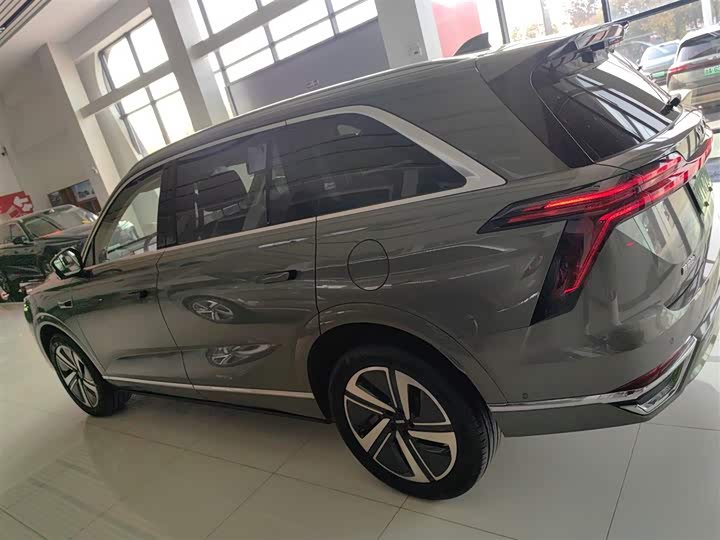 Фото 5 - Wey Lanshan