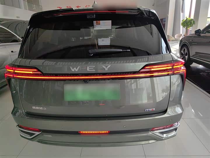 Фото 6 - Wey Lanshan