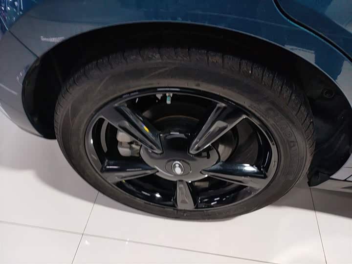 Фото 26 - Ora Good Cat (03)