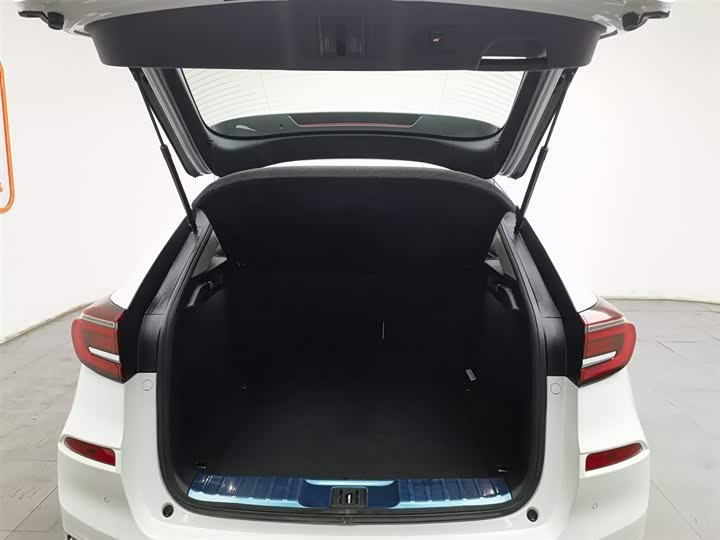 Фото 16 - Honda Avancier