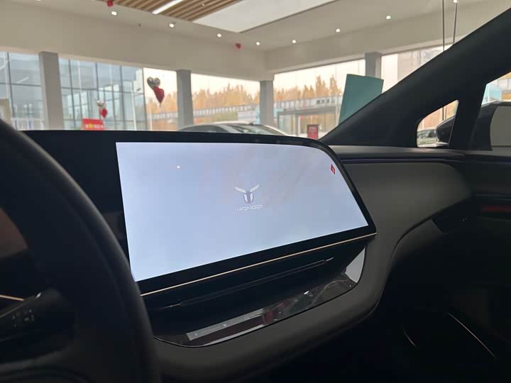 Фото 5 - Hongqi EH7