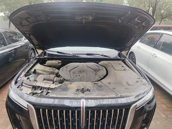 Фото 20 - Hongqi H9