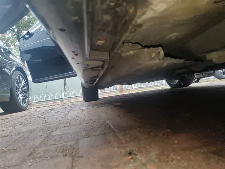 Фото 21 - Hongqi H9