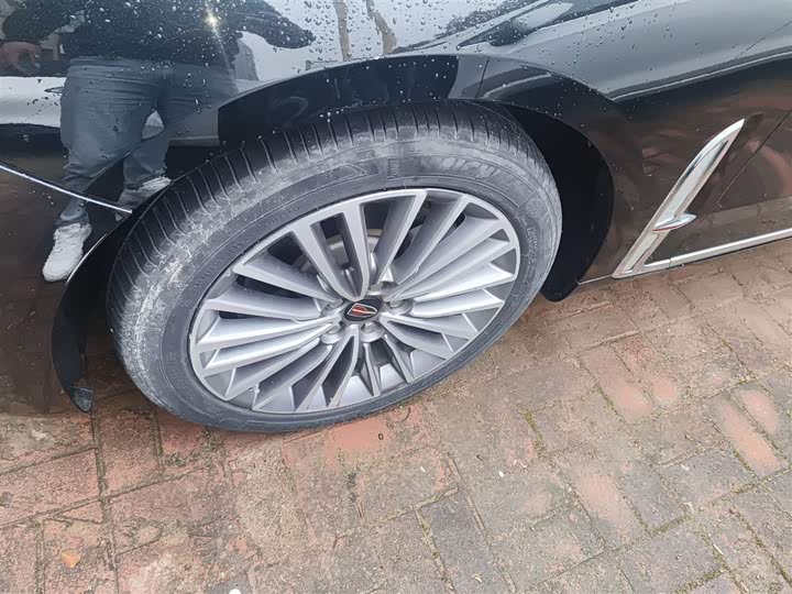 Фото 23 - Hongqi H9