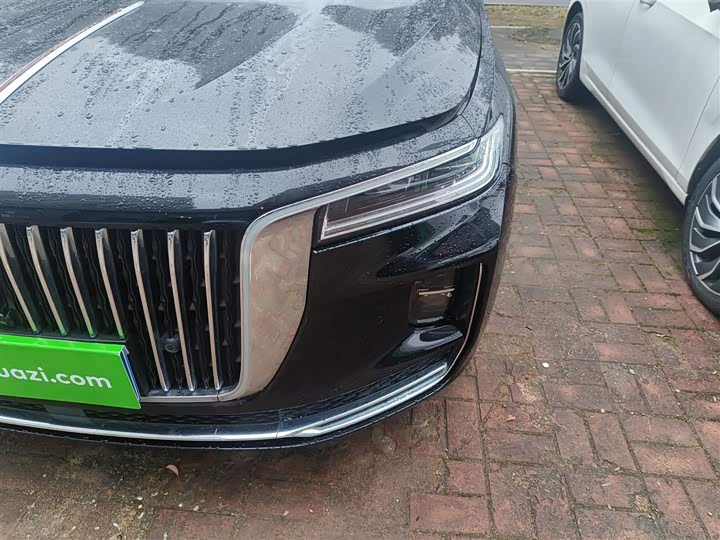 Фото 24 - Hongqi H9