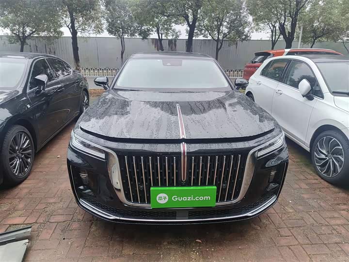 Фото 3 - Hongqi H9