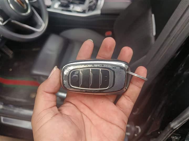 Фото 9 - Hongqi H9