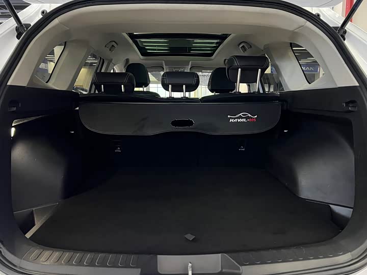 Фото 28 - Haval H6