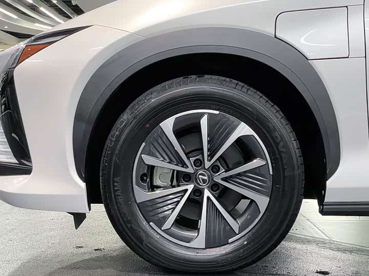 Фото 16 - Lexus RZ