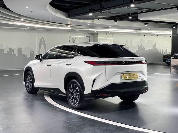 Фото 4 - Lexus RZ