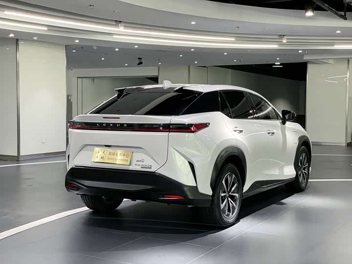 Фото 6 - Lexus RZ