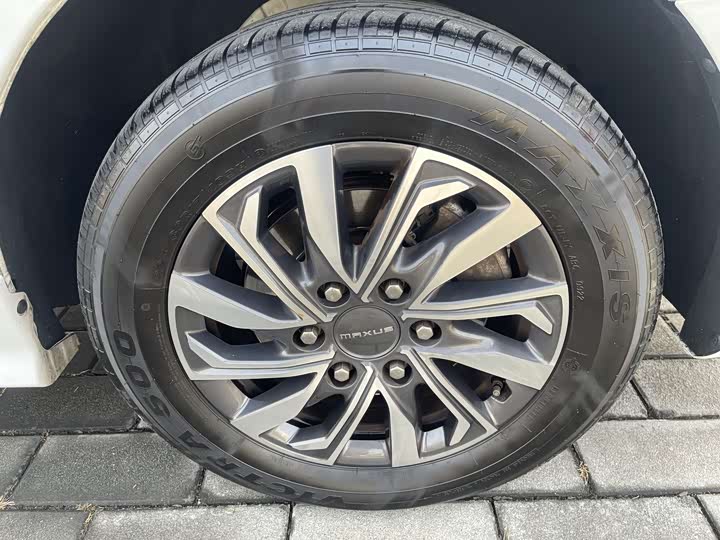 Фото 11 - Maxus G20