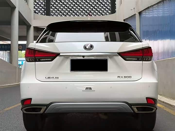 Фото 4 - Lexus RX