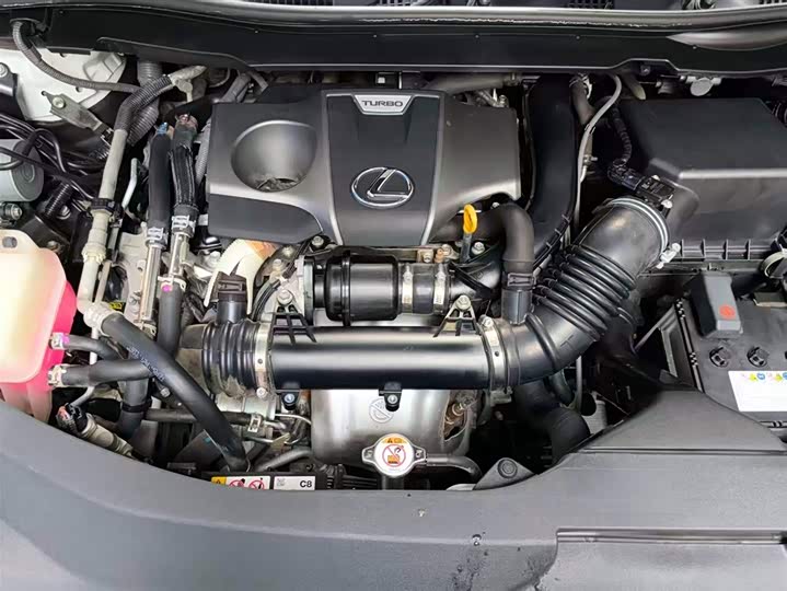 Фото 7 - Lexus RX