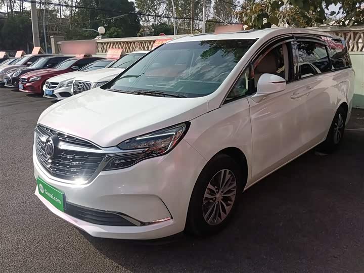 Фото 2 - Buick GL8 ES