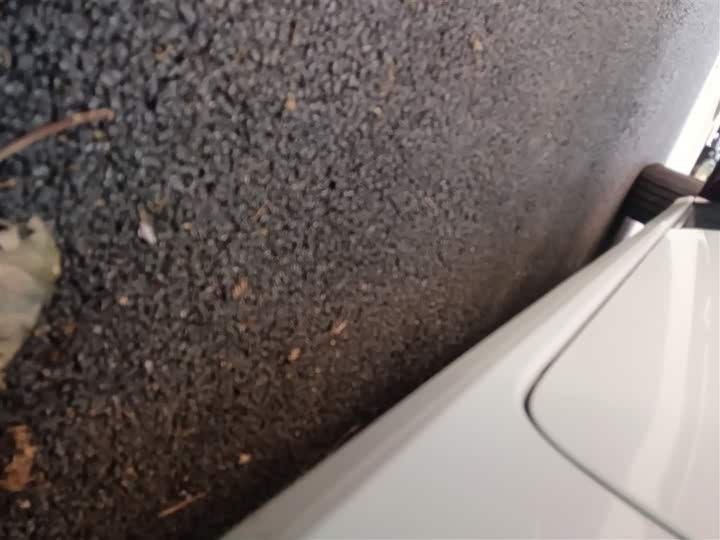 Фото 22 - Buick GL8 ES