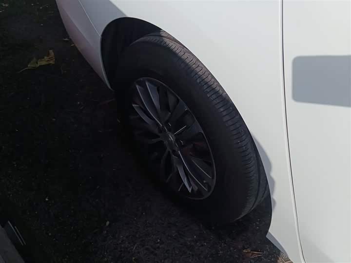 Фото 26 - Buick GL8 ES