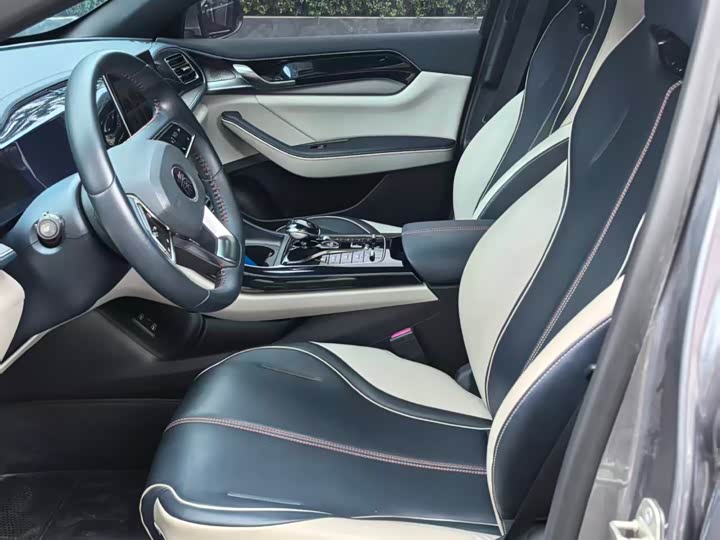 Фото 8 - BYD Qin Plus