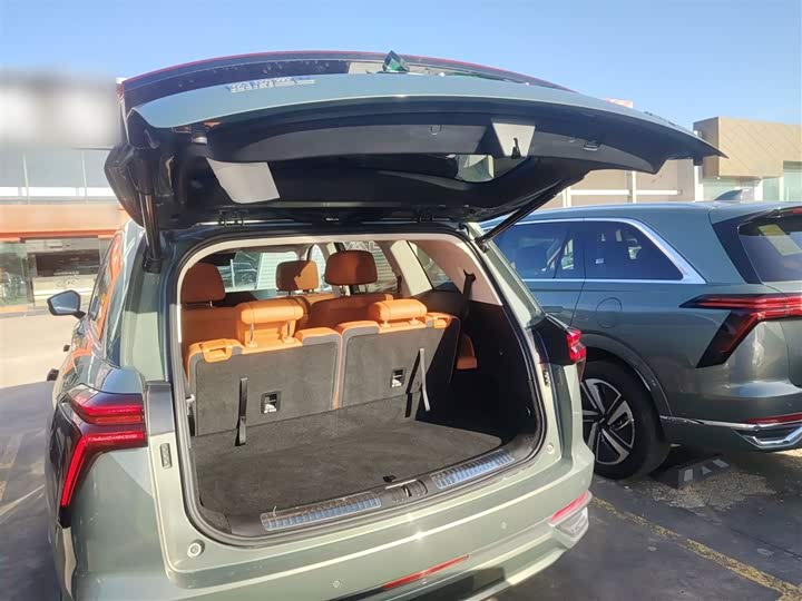 Фото 19 - Wey Lanshan