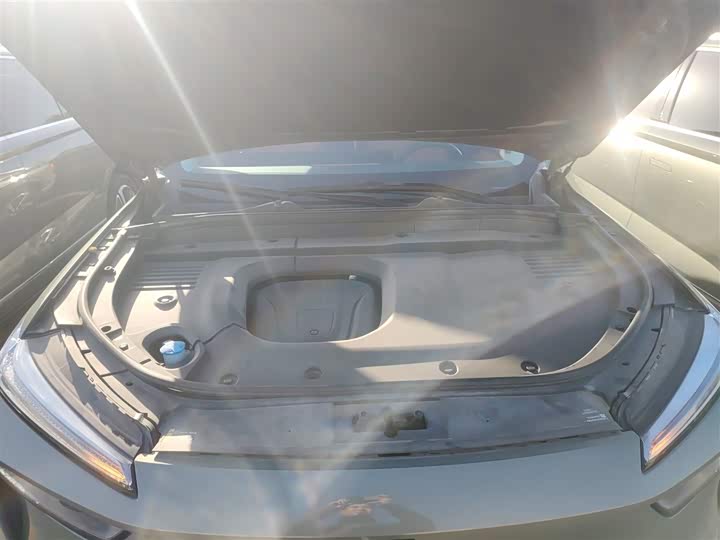 Фото 20 - Wey Lanshan