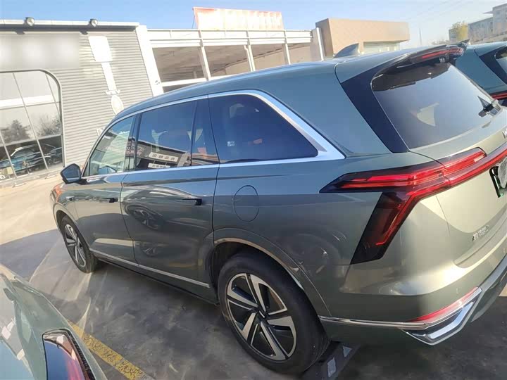 Фото 5 - Wey Lanshan