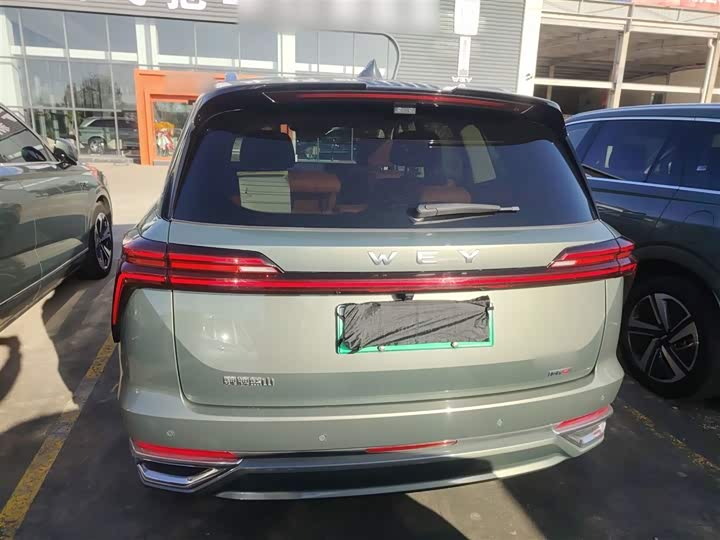 Фото 6 - Wey Lanshan