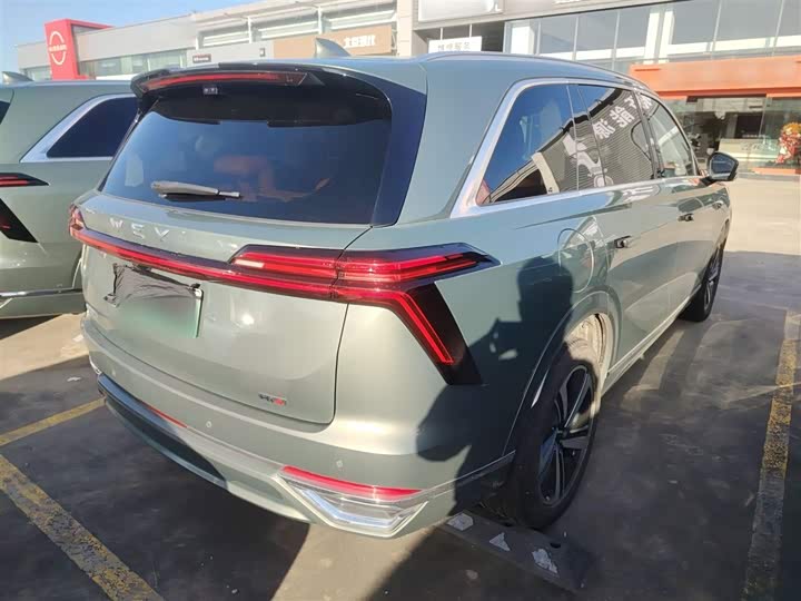 Фото 7 - Wey Lanshan