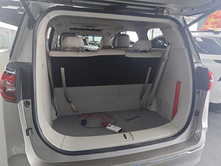 Фото 19 - Buick GL8 ES