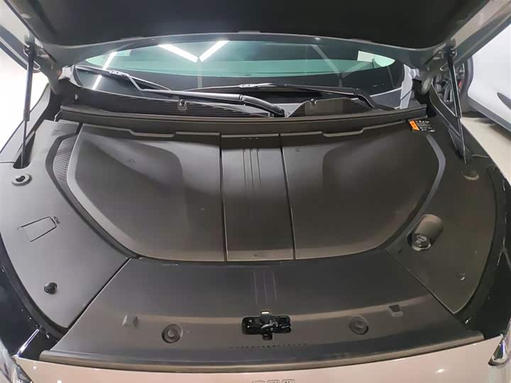 Фото 20 - Buick Electra E5