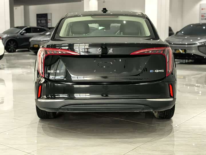 Фото 5 - Hongqi E-QM5