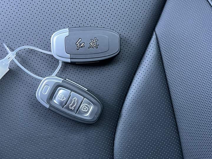 Фото 18 - Hongqi E-QM5