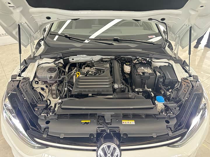 Фото 9 - Volkswagen Lamando L