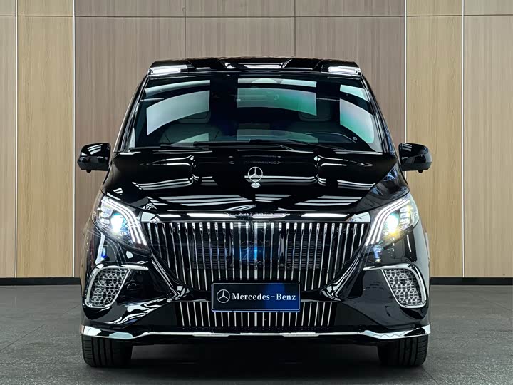 Фото 2 - Mercedes-Benz Vito