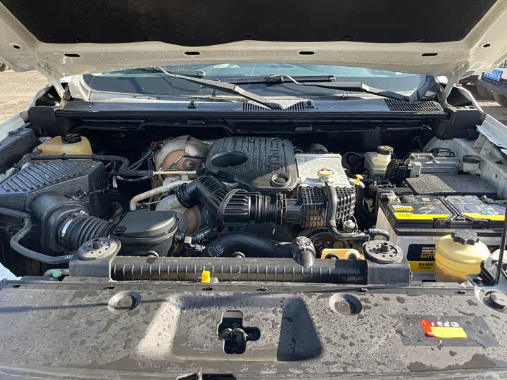 Фото 10 - Maxus T70