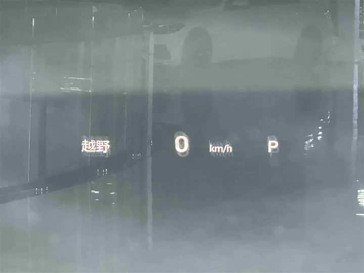 Фото 15 - GAC Trumpchi GS8