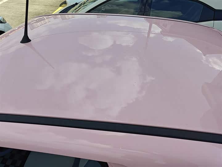 Фото 26 - Bestune Pony