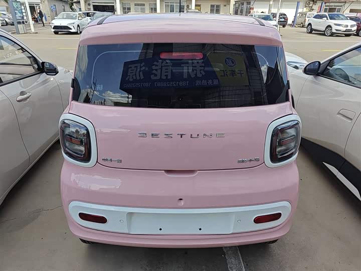 Фото 6 - Bestune Pony