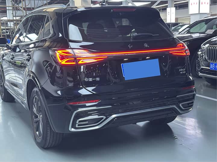 Фото 18 - Hongqi HS5