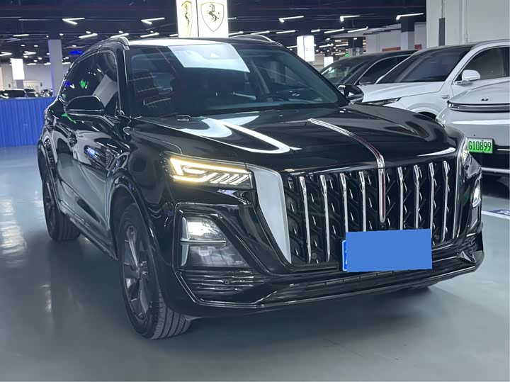 Фото 3 - Hongqi HS5