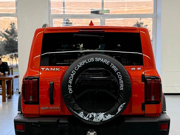 Фото 14 - Tank 300